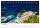 Thumbnail-13