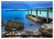 Thumbnail-9