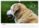 Thumbnail-10