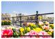 Thumbnail-13