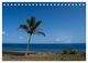 Thumbnail-11
