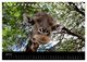 Thumbnail-12