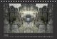 Thumbnail-13