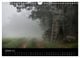 Thumbnail-12
