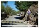 Thumbnail-12