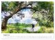 Thumbnail-10
