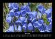 Thumbnail-9