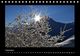 Thumbnail-11
