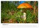 Thumbnail-11