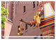 Thumbnail-12