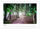 Thumbnail-12
