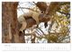 Thumbnail-9