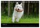 Thumbnail-10