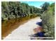Thumbnail-11