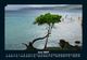 Thumbnail-10