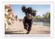 Thumbnail-8
