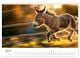 Thumbnail-12