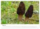 Thumbnail-10