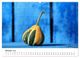 Thumbnail-12