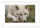 Thumbnail-9