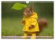 Thumbnail-13