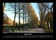Thumbnail-12