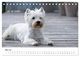 Thumbnail-10