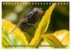 Thumbnail-11