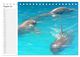 Thumbnail-10