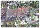 Thumbnail-14