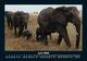 Thumbnail-10