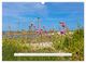 Thumbnail-11