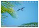 Thumbnail-10