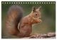 Thumbnail-14