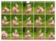Thumbnail-12