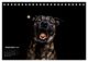 Thumbnail-14