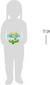 Thumbnail-2