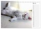 Thumbnail-10