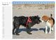 Thumbnail-10