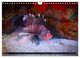 Thumbnail-12
