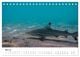 Thumbnail-10