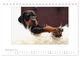 Thumbnail-14