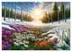 Thumbnail-8