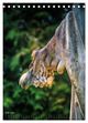 Thumbnail-12