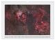 Thumbnail-14
