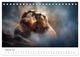 Thumbnail-10