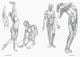 Thumbnail-10