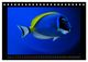 Thumbnail-12