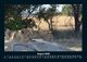 Thumbnail-12