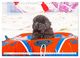 Thumbnail-9